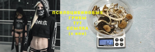 круглые Алзамай