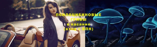 круглые Алзамай
