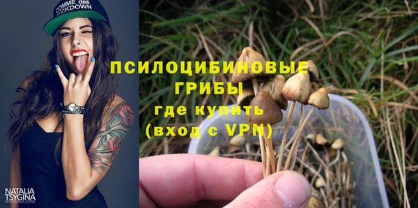 mdpv Алексин