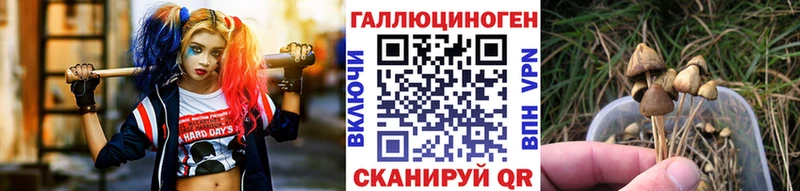 MEGA ССЫЛКА  Феодосия  Галлюциногенные грибы мицелий 